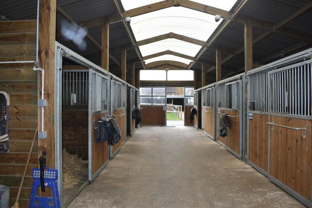 Willa Haras De Connincthun Beuvrequen Zewnętrze zdjęcie